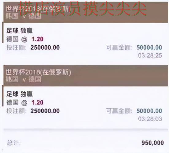 FIFA World Cup 2026背景下的世界杯买球平台整理与速度测试直播解析
