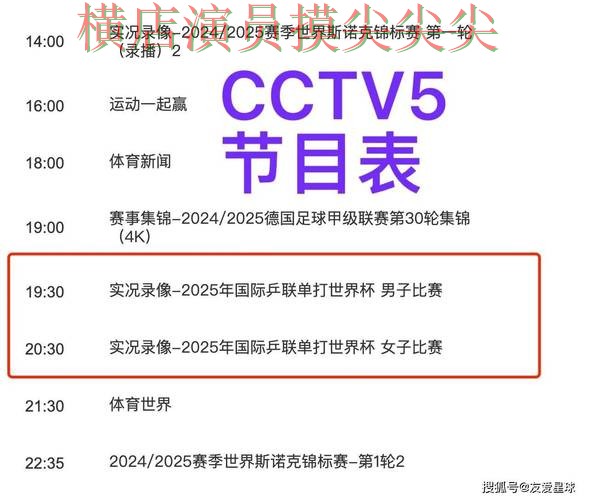 世界杯买球平台揭秘合集：覆盖用户反馈+直播与入口方式 - 世界杯直播